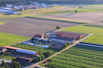 Aerial view of Aussiedlerhöfe Am Bildstöckel Farm Shop Seither in Hatzenbühl in the state Rhineland-Palatinate, Germany