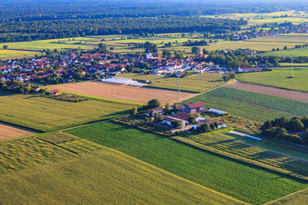 Aerial photograpy of Schoßberghof in Minfeld in the state Rhineland-Palatinate, Germany