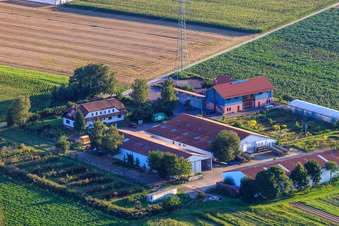 Oblique view of Schoßberghof in Minfeld in the state Rhineland-Palatinate, Germany