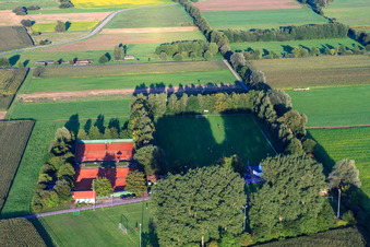 Sports fields SV1946 and TC in Minfeld in the state Rhineland-Palatinate, Germany