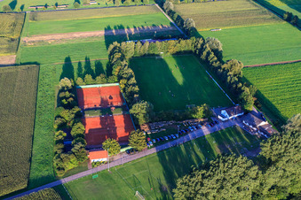 Sports fields SV1946 and TC in Minfeld in the state Rhineland-Palatinate, Germany from above
