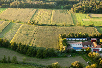 Aerial photograpy of Leistenmühle in Erlenbach bei Kandel in the state Rhineland-Palatinate, Germany