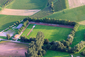 Sports fields of FC1924 Insheim eV in Insheim in the state Rhineland-Palatinate, Germany