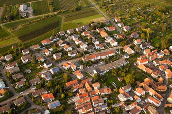 Aerial photograpy of Grape variety district in the district Godramstein in Landau in der Pfalz in the state Rhineland-Palatinate, Germany
