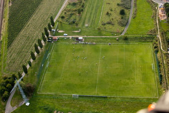 On the wine route, sports field in the district Mußbach in Neustadt an der Weinstraße in the state Rhineland-Palatinate, Germany