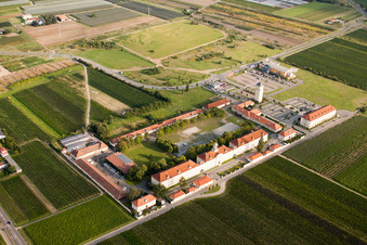 Bird's eye view of Le Quartier-Hornbach in Neustadt an der Weinstraße in the state Rhineland-Palatinate, Germany