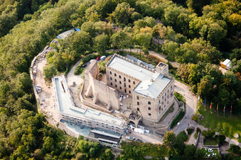 Castle Hambach in Neustadt in the Weinstrasse in the state Rhineland-Palatinate seen from above