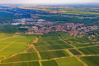 City view from the northwest in Edenkoben in the state Rhineland-Palatinate, Germany