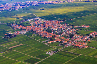 Wine-growing village between vineyards in Rhodt unter Rietburg in the state Rhineland-Palatinate, Germany