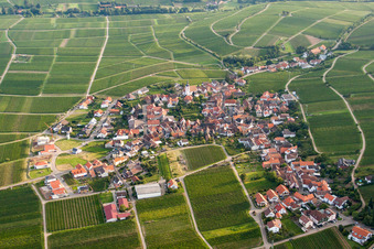 Village - view on the edge of agricultural fields and farmland in Weyher in der Pfalz in the state Rhineland-Palatinate, Germany