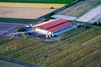 Horse boarding Seehof Trauth-Kretz in Hatzenbühl in the state Rhineland-Palatinate, Germany