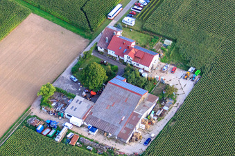 Aerial view of Rosenhof Wine and Sparkling Wine Estate in Steinweiler in the state Rhineland-Palatinate, Germany