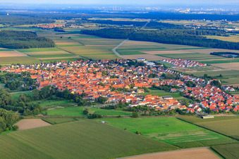 Oblique view of Village view from the northwest in Steinweiler in the state Rhineland-Palatinate, Germany
