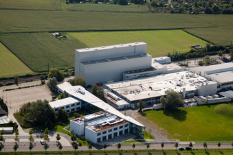 Building and production halls on the premises of the chemical manufacturers KLEBCHEMIE M. G. Becker GmbH & Co. KG in Weingarten in the state Baden-Wurttemberg, Germany