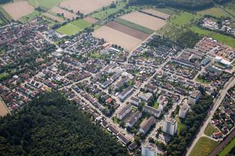 Pine Path in the district Büchig in Stutensee in the state Baden-Wuerttemberg, Germany