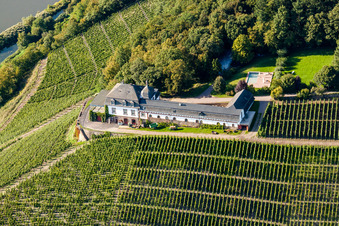Fields of wine cultivation landscape with Domaine Castle Saarstein above the river Saar in Serrig in the state , Germany