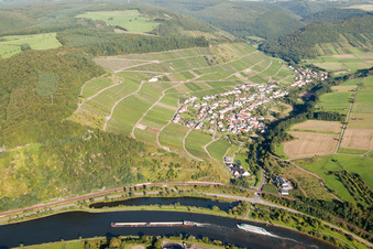 Fields of wine cultivation landscape in Ockfen over the river Saar in the state Rhineland-Palatinate