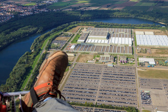 Daimler / Mercedes-Benz Global Logistics Center GLC on the island of Grün in Germersheim in the state Rhineland-Palatinate, Germany from the drone perspective