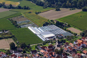 Aerial photograpy of Nursery on Ziegelstr in the district Sondernheim in Germersheim in the state Rhineland-Palatinate, Germany