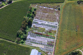 Oblique view of Nursery on Ziegelstr in the district Sondernheim in Germersheim in the state Rhineland-Palatinate, Germany
