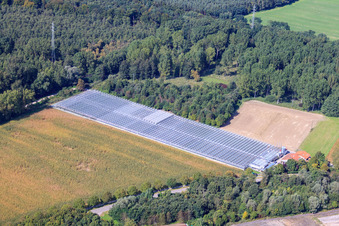 Oblique view of Gardening center Klaus and Frank Mildenberger in the district Sondernheim in Germersheim in the state Rhineland-Palatinate, Germany