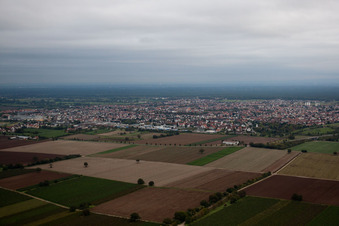 Aerial view of District Dannstadt in Dannstadt-Schauernheim in the state Rhineland-Palatinate, Germany