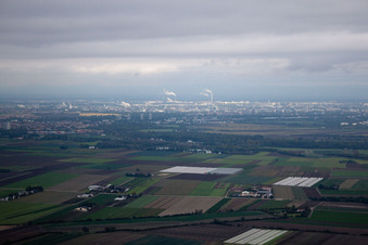 Oblique view of Mutterstadt in the state Rhineland-Palatinate, Germany