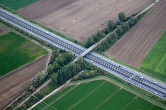 Mutterstadt in the state Rhineland-Palatinate, Germany from above