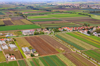 In Steinböhl in Maxdorf in the state Rhineland-Palatinate, Germany