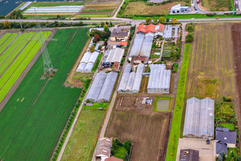 At Steinböhl Horticulture in Maxdorf in the state Rhineland-Palatinate, Germany