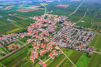 Village view from the northeast in Ellerstadt in the state Rhineland-Palatinate, Germany