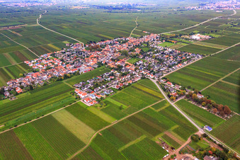 Village view from the northeast in Friedelsheim in the state Rhineland-Palatinate, Germany