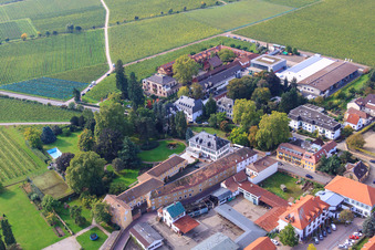 Aerial photograpy of Dr. Bürklin-Wolf Winery in Wachenheim an der Weinstraße in the state Rhineland-Palatinate, Germany