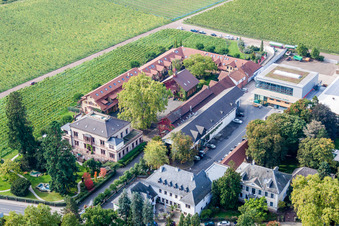 Bird's eye view of Buildings and parks at the mansion of the wine cellar Weingut Dr. Buerklin-Wolf in Wachenheim an der Weinstrasse in the state Rhineland-Palatinate, Germany