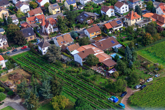 Zimmermann's Apple Days in Wachenheim an der Weinstraße in the state Rhineland-Palatinate, Germany from above