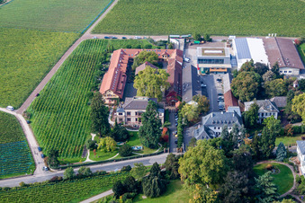 Buildings and parks at the mansion of the wine cellar Weingut Dr. Buerklin-Wolf in Wachenheim an der Weinstrasse in the state Rhineland-Palatinate, Germany viewn from the air