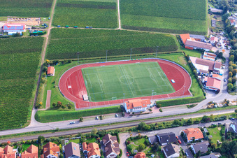 Aerial photograpy of Sports field of TuS 1883 Wachenheim eV in Wachenheim an der Weinstraße in the state Rhineland-Palatinate, Germany