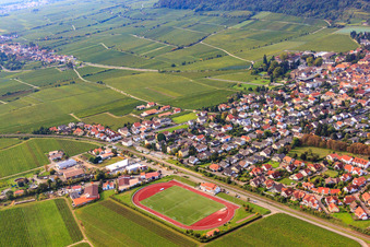 Oblique view of Sports field of TuS 1883 Wachenheim eV in Wachenheim an der Weinstraße in the state Rhineland-Palatinate, Germany