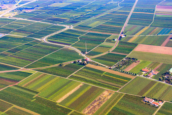 Aerial view of Crossing at Friedelsheim station in Friedelsheim in the state Rhineland-Palatinate, Germany