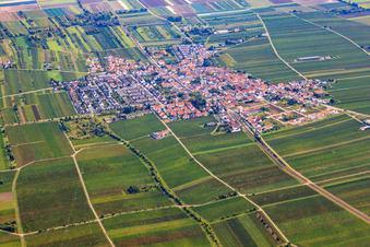 Village view from the west in Ellerstadt in the state Rhineland-Palatinate, Germany