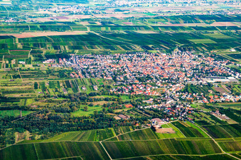 Aerial view of Weisenheim am Sand in the state Rhineland-Palatinate, Germany
