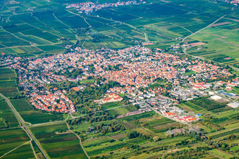 Bird's eye view of Freinsheim in the state Rhineland-Palatinate, Germany