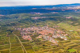 Freinsheim in the state Rhineland-Palatinate, Germany viewn from the air