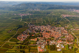 Village - view on the edge of agricultural fields and farmland in Freinsheim in the state Rhineland-Palatinate, Germany