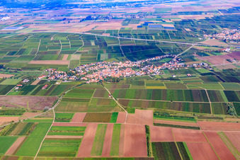 Village view from the south in Großkarlbach in the state Rhineland-Palatinate, Germany