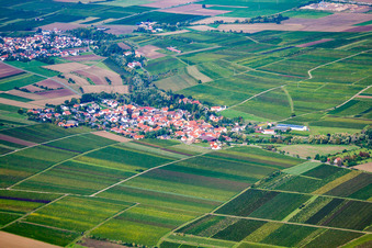 Village view of Sausenheim in Bissersheim in the state Rhineland-Palatinate