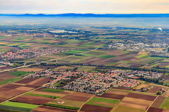 View of the town from the west in Heßheim in the state Rhineland-Palatinate, Germany