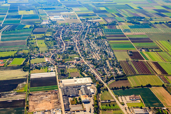 View of the town from the north in Fußgönheim in the state Rhineland-Palatinate, Germany