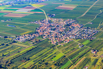 Village view from the northeast in Ellerstadt in the state Rhineland-Palatinate, Germany