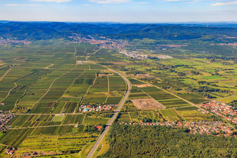 Industrial estate on the A650 in Ellerstadt in the state Rhineland-Palatinate, Germany